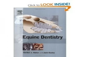 equine dentistry